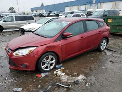 Ford Focus salvage cars for sale: 2014 Ford Focus SE