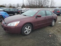 Honda Accord salvage cars for sale: 2005 Honda Accord EX