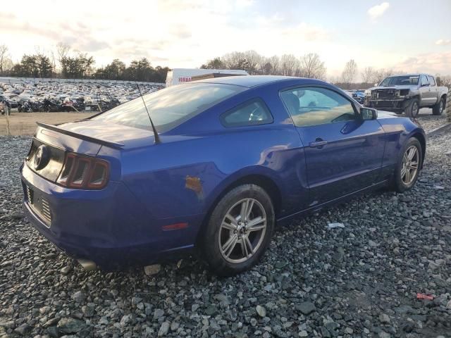 2013 Ford Mustang