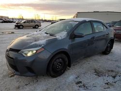 Toyota Corolla salvage cars for sale: 2014 Toyota Corolla L