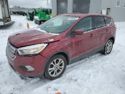 Ford Escape salvage cars for sale: 2017 Ford Escape SE