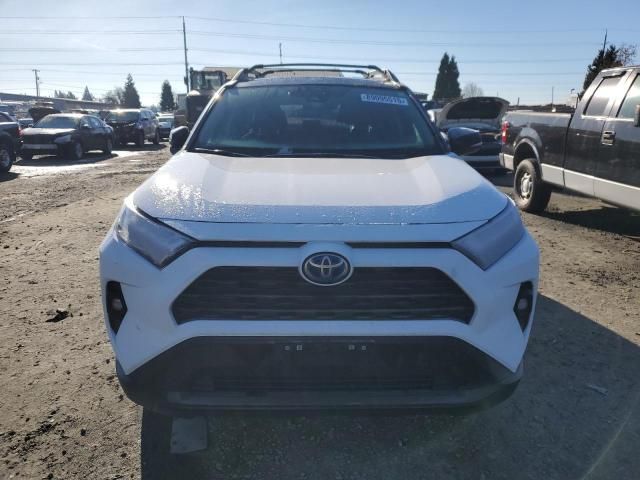 2024 Toyota Rav4 Woodland Edition