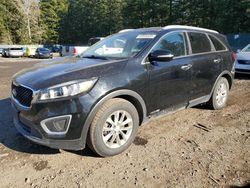 2016 KIA Sorento LX for sale in Graham, WA