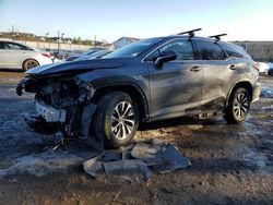 Lexus rx350 salvage cars for sale: 2022 Lexus RX 350 L