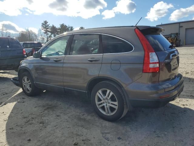 2010 Honda CR-V EXL