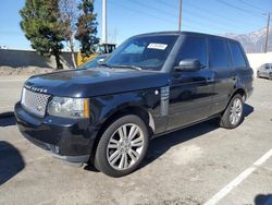 Land Rover salvage cars for sale: 2011 Land Rover Range Rover HSE Luxury