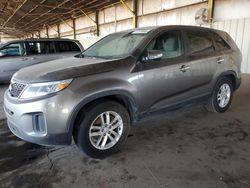 2014 KIA Sorento LX en venta en Phoenix, AZ