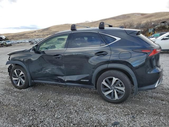 2021 Lexus NX 300H Base