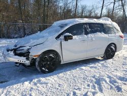 Honda Odyssey sp salvage cars for sale: 2024 Honda Odyssey Sport