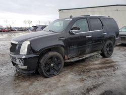 Cadillac salvage cars for sale: 2007 Cadillac Escalade Luxury