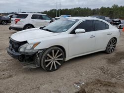 Nissan Maxima salvage cars for sale: 2014 Nissan Maxima S