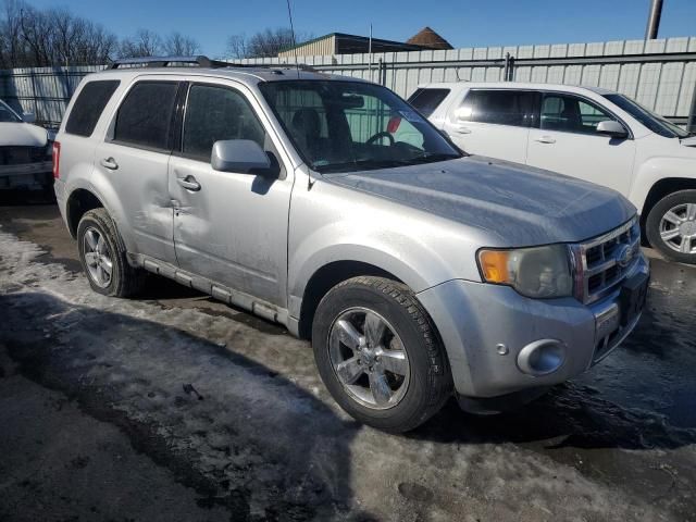 2010 Ford Escape Limited