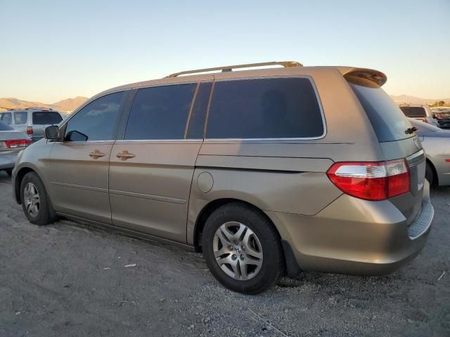 2005 Honda Odyssey EX