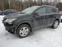 Toyota rav4 salvage cars for sale: 2015 Toyota Rav4 LE