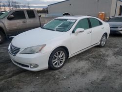Lexus salvage cars for sale: 2010 Lexus ES 350