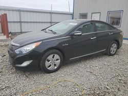 2012 Hyundai Sonata Hybrid for sale in Appleton, WI