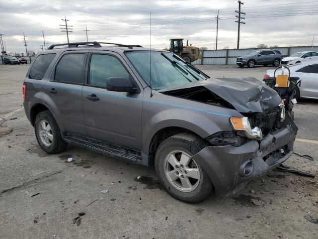 2009 Ford Escape XLT