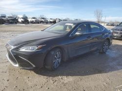 Lexus es300 salvage cars for sale: 2019 Lexus ES 300H