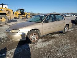 Chevrolet Malibu salvage cars for sale: 2004 Chevrolet Classic