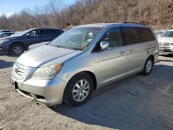 Honda salvage cars for sale: 2008 Honda Odyssey EXL