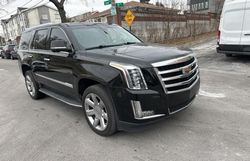 Cadillac salvage cars for sale: 2020 Cadillac Escalade Luxury