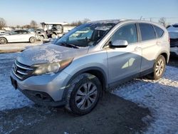 Honda crv salvage cars for sale: 2013 Honda CR-V EX