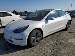 2019 Tesla Model 3 for sale in Antelope, CA