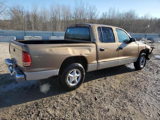 2000 Dodge Dakota Quattro