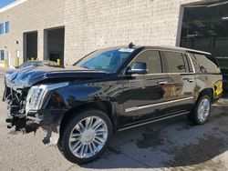 2020 Cadillac Escalade ESV Platinum for sale in Littleton, CO