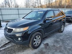 KIA salvage cars for sale: 2011 KIA Sorento Base