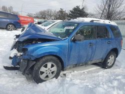 Ford Escape salvage cars for sale: 2011 Ford Escape XLT