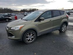 Ford Escape sel salvage cars for sale: 2013 Ford Escape SEL