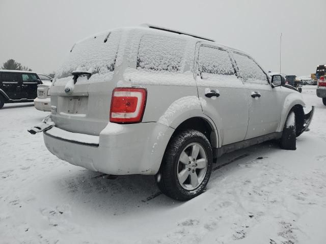 2009 Ford Escape XLT