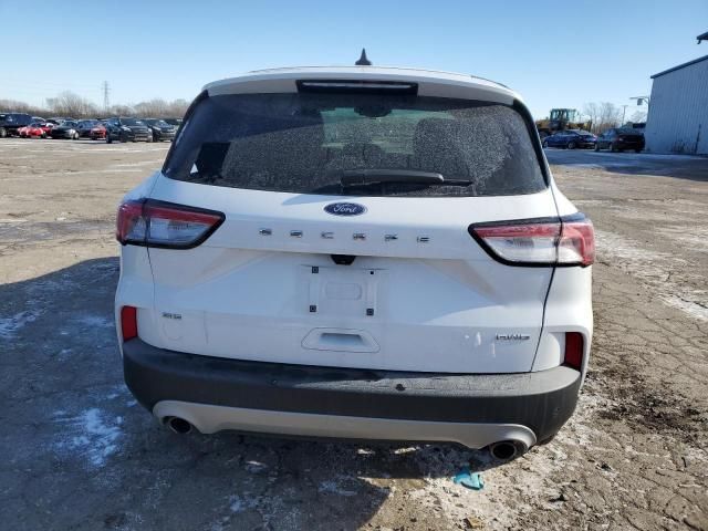 2021 Ford Escape SE