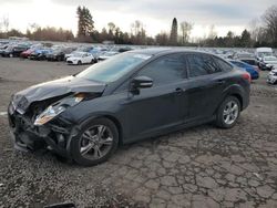 Ford Focus salvage cars for sale: 2014 Ford Focus SE