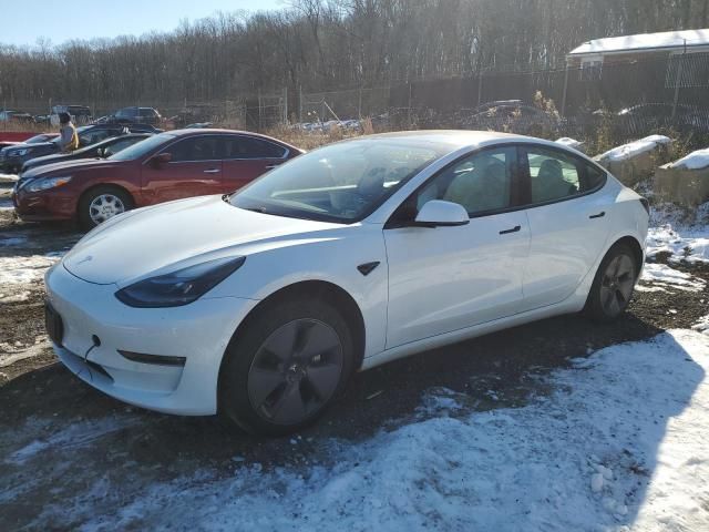 2021 Tesla Model 3