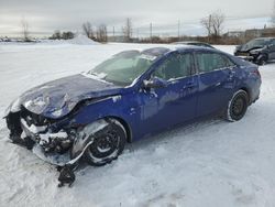 Hyundai Elantra salvage cars for sale: 2021 Hyundai Elantra SEL