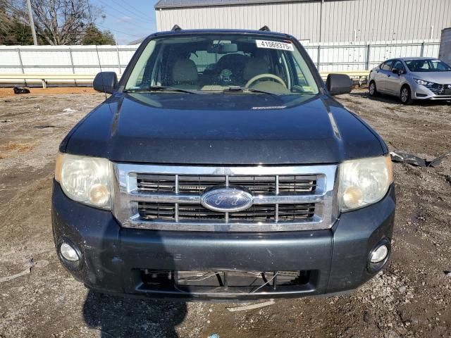 2008 Ford Escape XLT