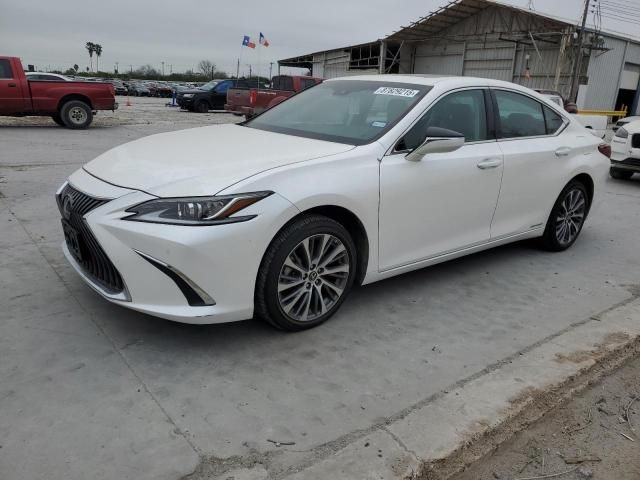 2020 Lexus ES 300H