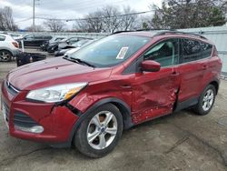 Ford Escape salvage cars for sale: 2013 Ford Escape SE