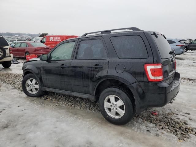 2010 Ford Escape XLS