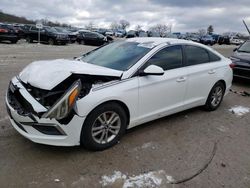 Hyundai Sonata salvage cars for sale: 2016 Hyundai Sonata SE