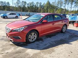 Hyundai Sonata Vehiculos salvage en venta: 2017 Hyundai Sonata SE