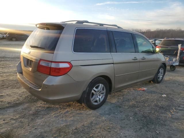 2005 Honda Odyssey EXL