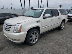 Cadillac Escalade salvage cars for sale: 2010 Cadillac Escalade ESV Premium