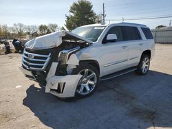 2016 Cadillac Escalade Luxury en venta en Lexington, KY