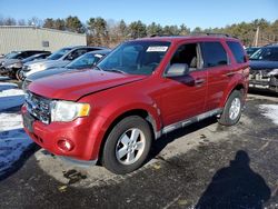 Ford Escape salvage cars for sale: 2011 Ford Escape XLT