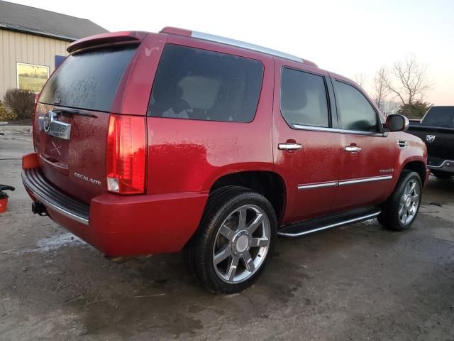 2008 Cadillac Escalade Luxury