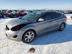 Hyundai Elantra salvage cars for sale: 2013 Hyundai Elantra GLS