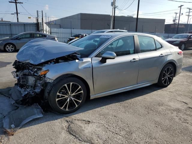 2019 Toyota Camry Hybrid